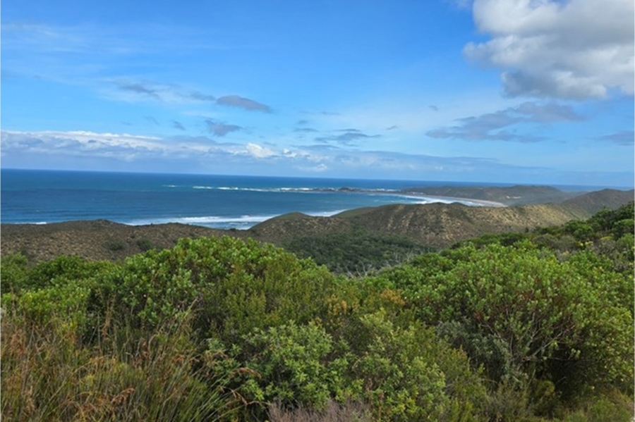0 Bedroom Property for Sale in Brenton On Sea Western Cape